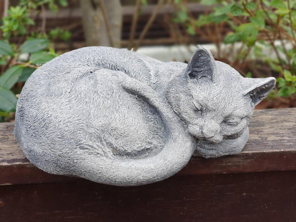 Poes Slapend - Spijkenisse Boeddha