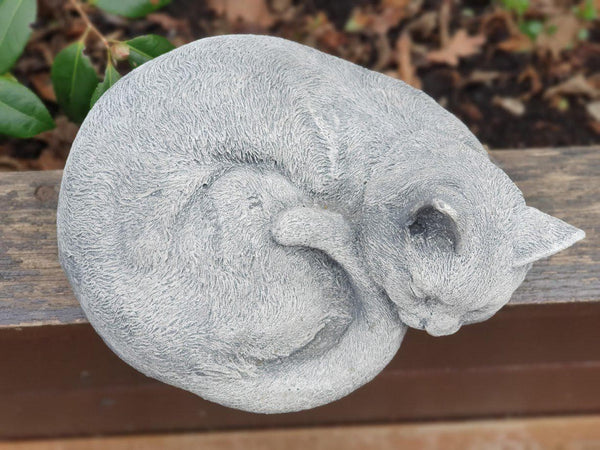 Poes Slapend - Spijkenisse Boeddha