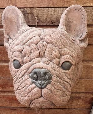 Kop Franse Bulldog 22x20 cm - Spijkenisse Boeddha