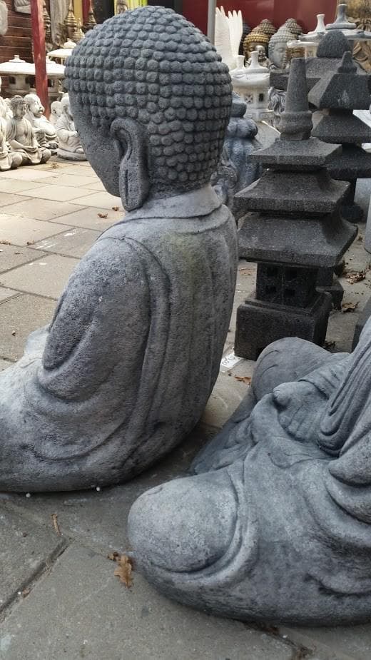 Zittende Boeddha Lotushouding 65x55 cm - Spijkenisse Boeddha